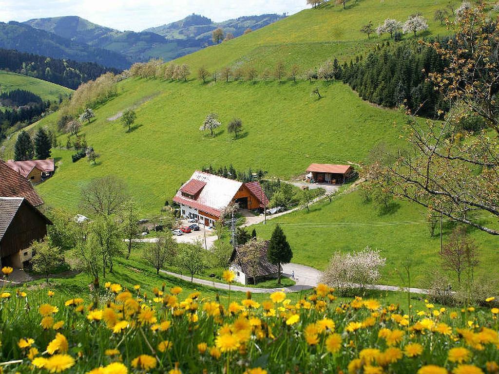 Unterer Gurethshof Apartment Zell am Harmersbach Ngoại thất bức ảnh
