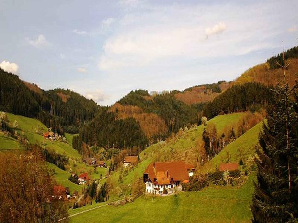 Unterer Gurethshof Apartment Zell am Harmersbach Ngoại thất bức ảnh