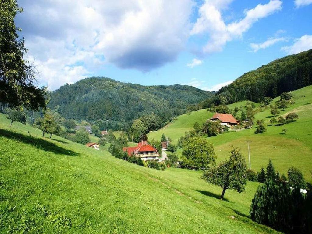 Unterer Gurethshof Apartment Zell am Harmersbach Ngoại thất bức ảnh