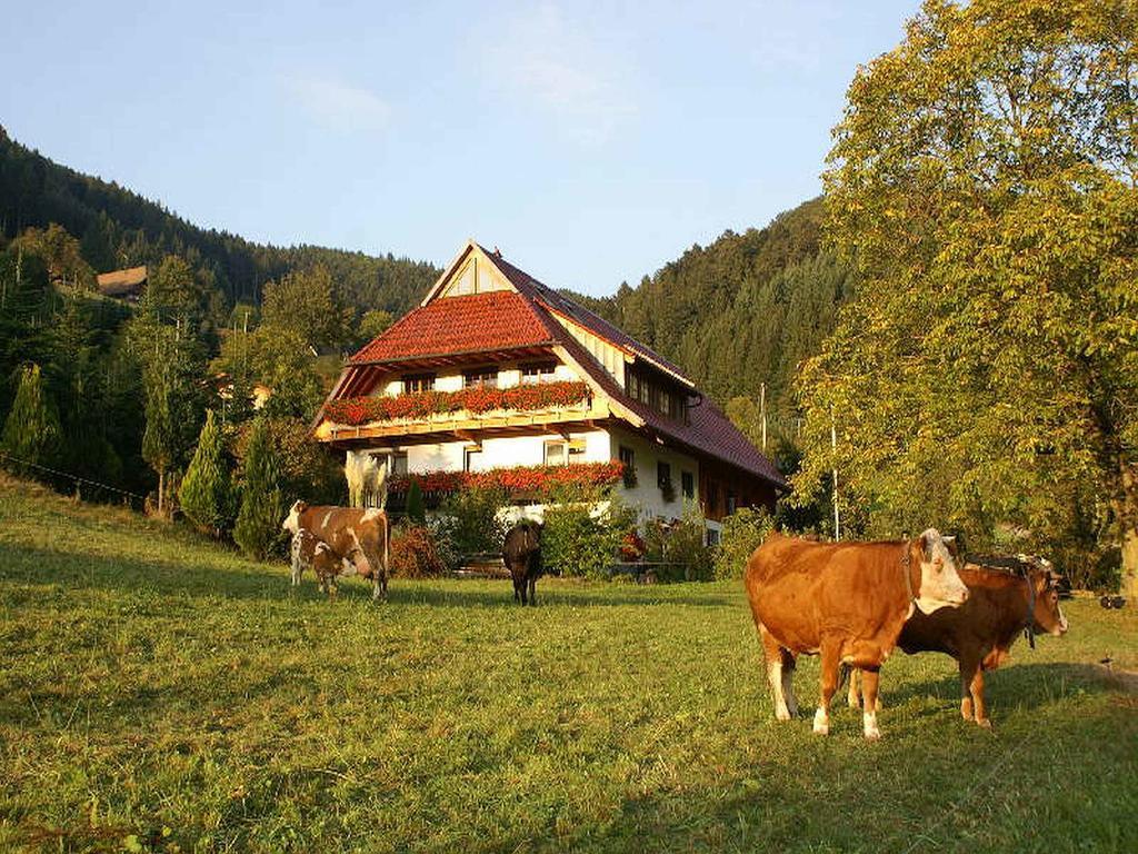 Unterer Gurethshof Apartment Zell am Harmersbach Ngoại thất bức ảnh