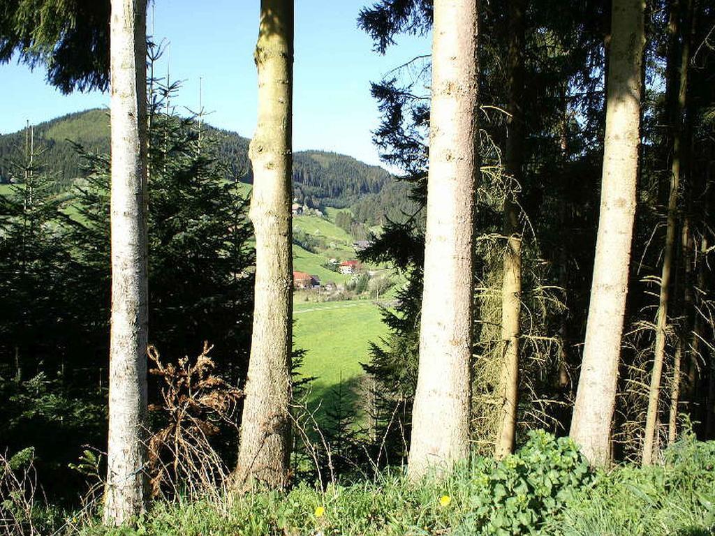 Unterer Gurethshof Apartment Zell am Harmersbach Ngoại thất bức ảnh